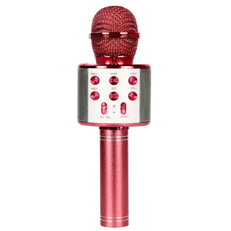 Wireless Karaoke Microphone with LED Lights 4 in 1 Bluetooth Speaker